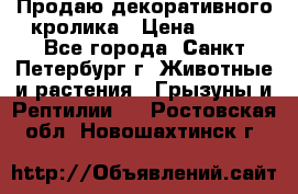 Продаю декоративного кролика › Цена ­ 500 - Все города, Санкт-Петербург г. Животные и растения » Грызуны и Рептилии   . Ростовская обл.,Новошахтинск г.